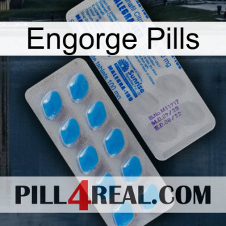 Engorge Pills new15